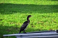 06 01 14_0425_edited-1